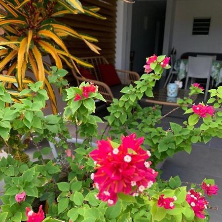 Le Tropical Appartement 1 Ou 2 Chambres Лез-Анс-д'Арле Экстерьер фото